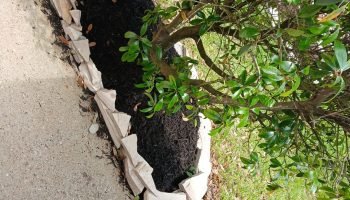 WhatsApp Image 2025-05-16 at 11.35.42 AM