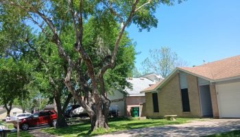 WhatsApp Image 2025-05-16 at 11.35.45 AM (1)